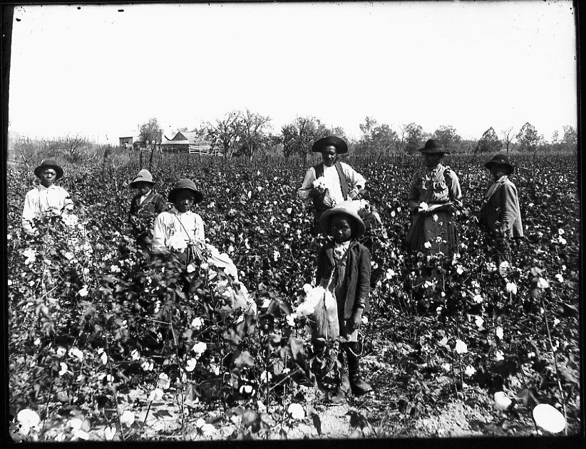 The Role of Slavery in the Cotton Kingdom | The Cotton Kingdom The Role of Slavery in the Cotton Kingdom | The Cotton Kingdom