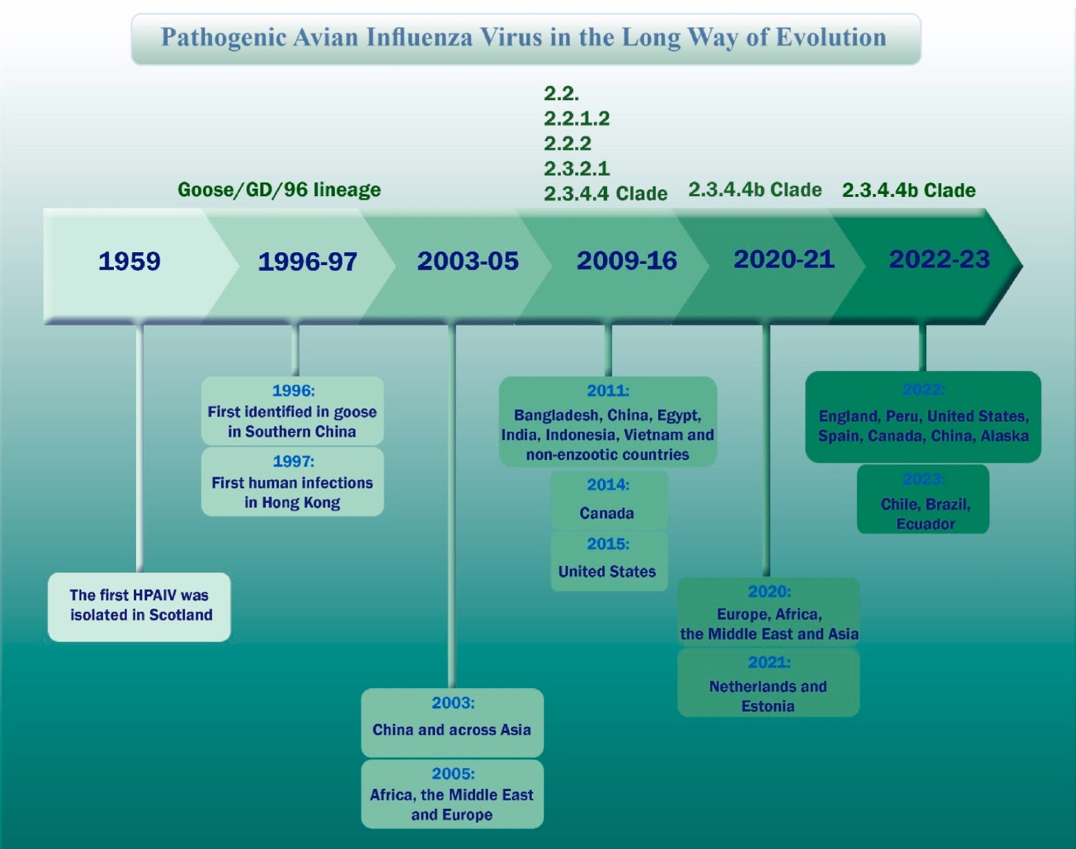 Is H5N1 (Bird Flu) the Next Pandemic Causing Virus?