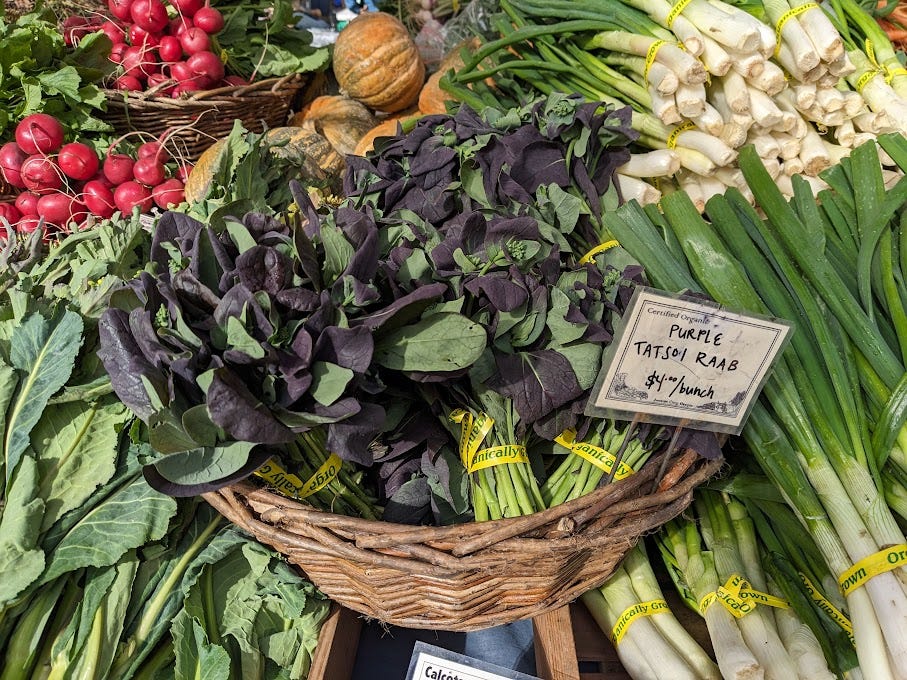 a heaping basket of purple tatsoi raab at a farmers market