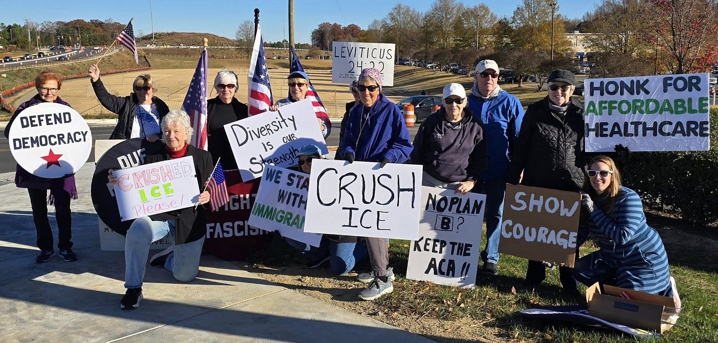 A group of about a dozen adults stands and kneels together on a sunny roadside, holding protest signs and small U.S. flags. Their handmade posters read messages such as “DEFEND DEMOCRACY,” “Diversity is our Strength,” “WE STAND WITH IMMIGRANTS,” “CRUSH ICE,” “CRUSHED ICE Please!,” “NO PLAN B? KEEP THE ACA!!,” “SHOW COURAGE,” “LEVITICUS 24:22,” and “HONK FOR AFFORDABLE HEALTHCARE.” Several American flags are displayed behind them, and a road, cars, and trees with autumn leaves fill the background.