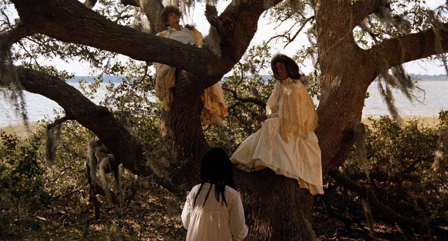 https://media.newyorker.com/photos/59097c0aebe912338a3787ba/master/pass/Brody-TheReturnofJulieDashsHistoricDaughtersoftheDust.jpg