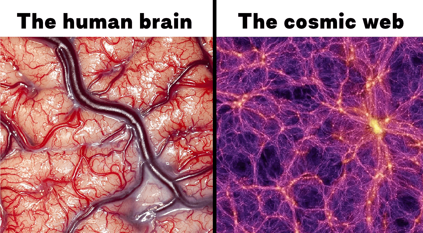 Comparison between the veins in our brain and the cosmic web of galaxies :  r/woahdude