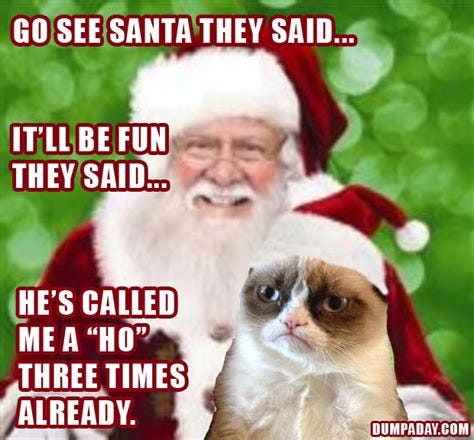 Grumpy Cat Christmas Meme Santa Wallpaper Desktop HD (620 x 576 ...