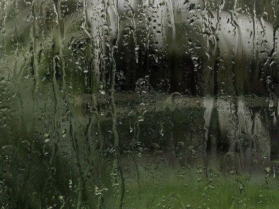 This may contain: rain drops on the window and grass outside