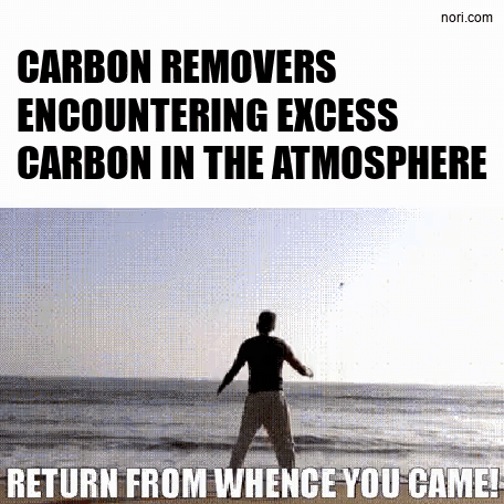 Text: "CARBON REMOVERS ENCOUNTERING EXCESS CARBON IN THE ATMOSPHERE". Below, a still of a man in a T-shirt at the beach, looking down at his hands as he releases something toward the sea, captioned "RETURN FROM WHENCE YOU CAME!". Watermark: nori.com.
