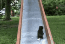 a black cat is sitting on a slide in a park . a black cat is sitting on a slide in a park .