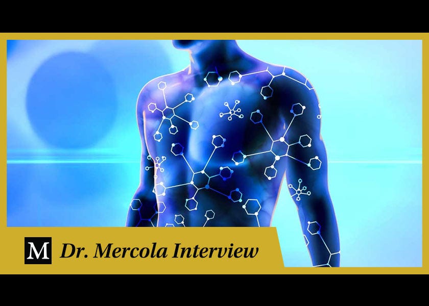 Intro to the Bioenergetic Theory of Health