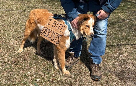 Protesters and dogs with signs at an outdoor rally