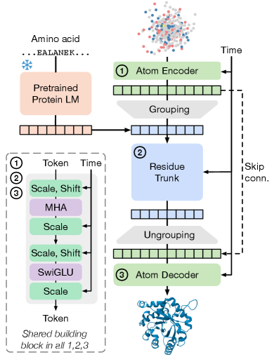 SimpleFold architecture diagram showing transformer blocks