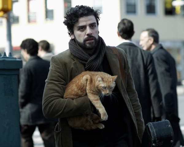 A man in a green jacket and a thick scarf holds a guitar and a cat.