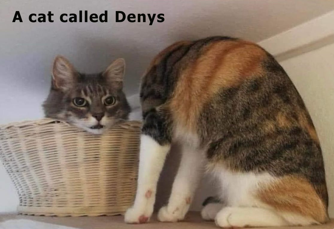 A photograph of a cat sitting in a position where you cannot see its head next to a basket where a cat is sitting in a position where you can only see its head. As a result, it looks like the cats head has come off and is now peeking out of the basket with a smile, this is a reference to saint Denys which was mentioned in my last newsletter. The words on the image read 'a cat called Denys'.