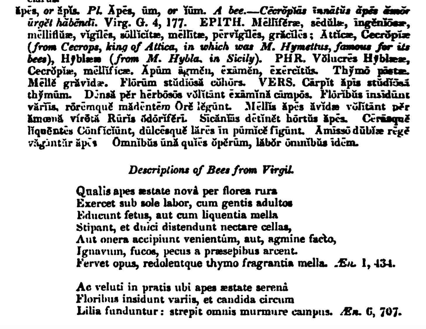 Dictionary entry for bees