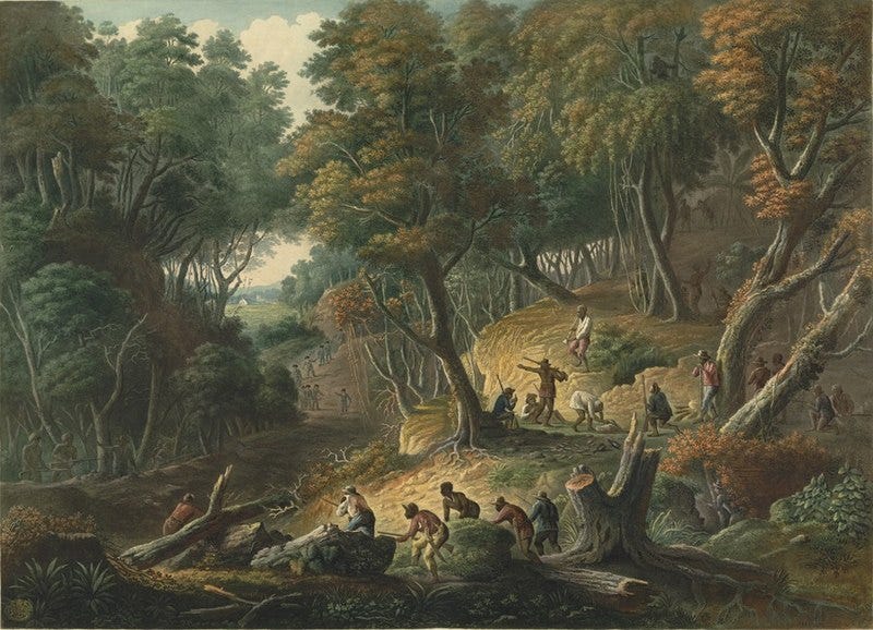 File:Maroons preparing to ambush a convoy.jpg File:Maroons preparing to ambush a convoy.jpg