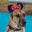 Oded's avatar