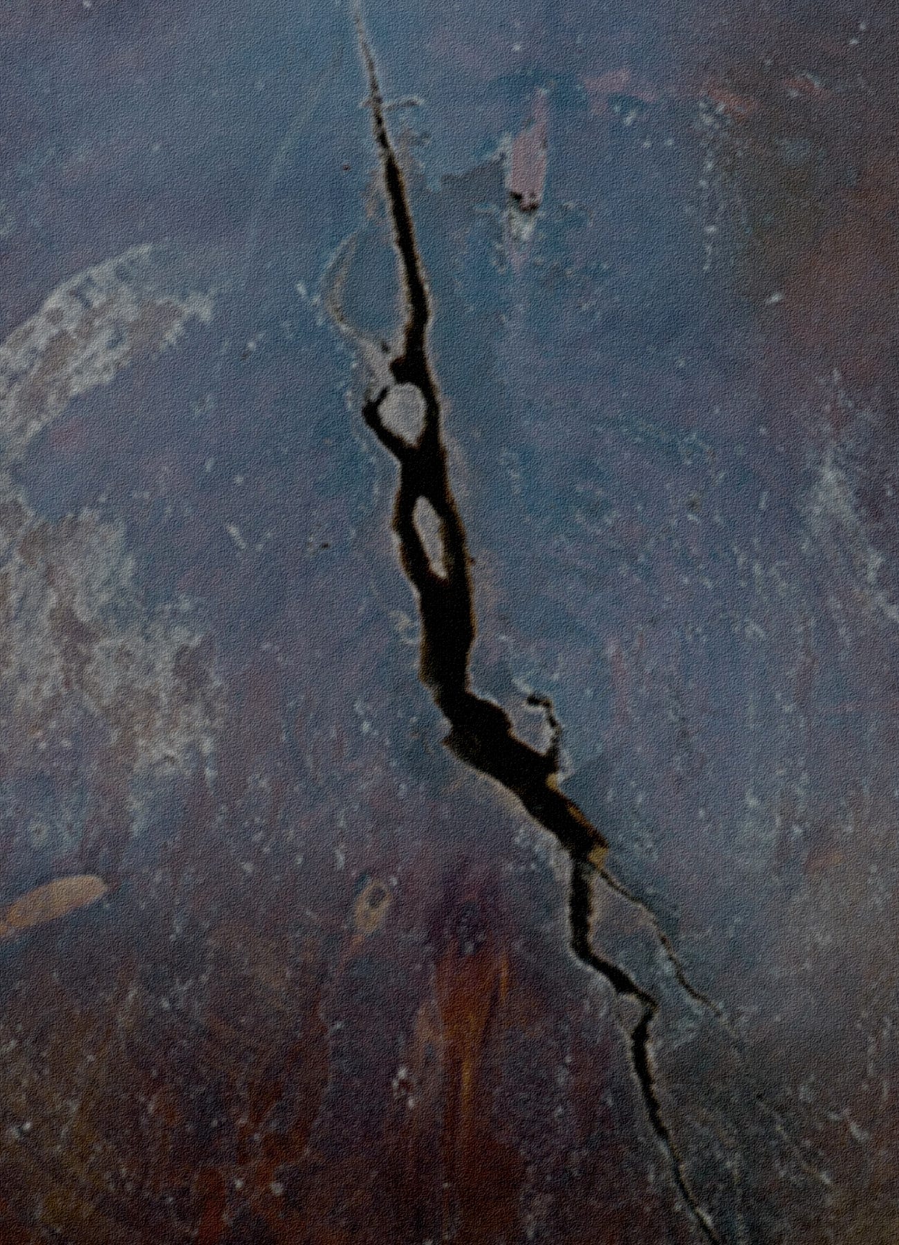 Huge, cracked Yosemite log. photo: Joyce Wycoff