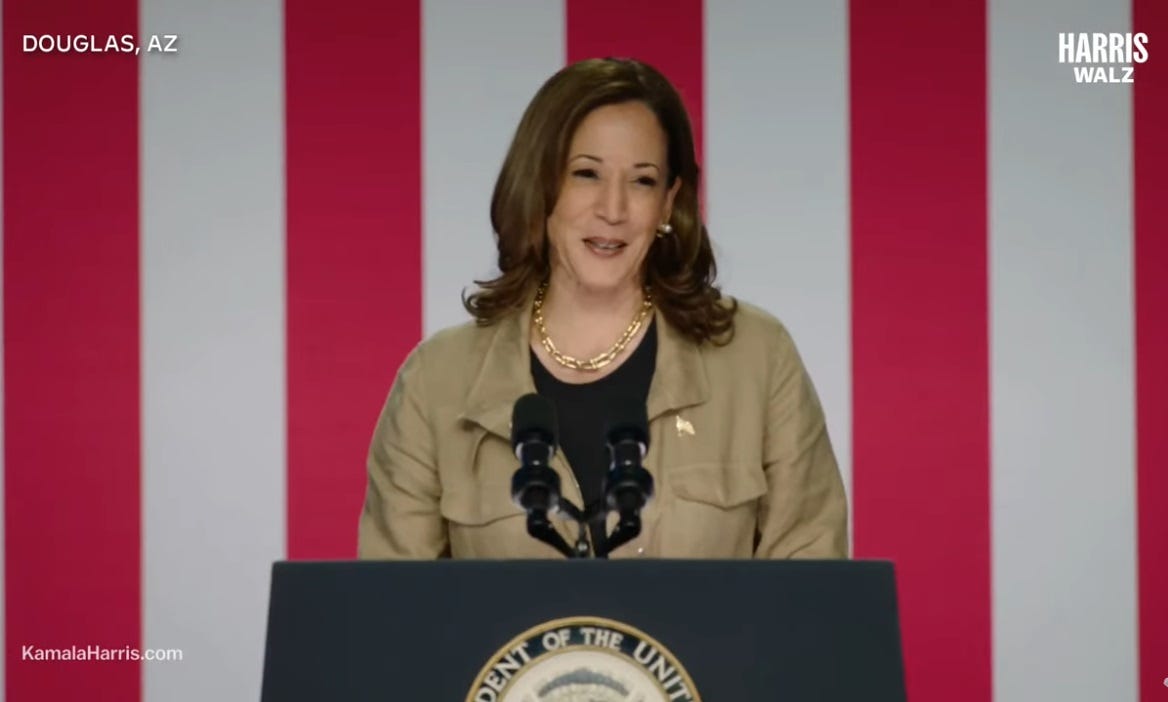 Kamala Harris speaks at a lectern with the vice-presidential seal, in front of a US flag-themed background
