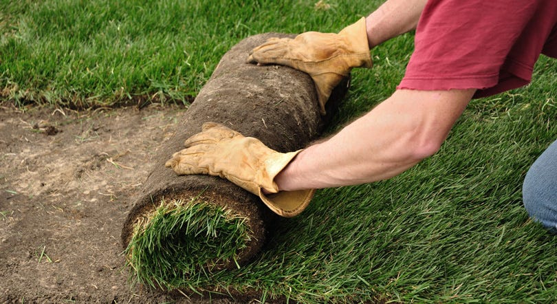 Methods of Planting a Lawn - Toro Yard Care BlogToro Yard Care Blog
