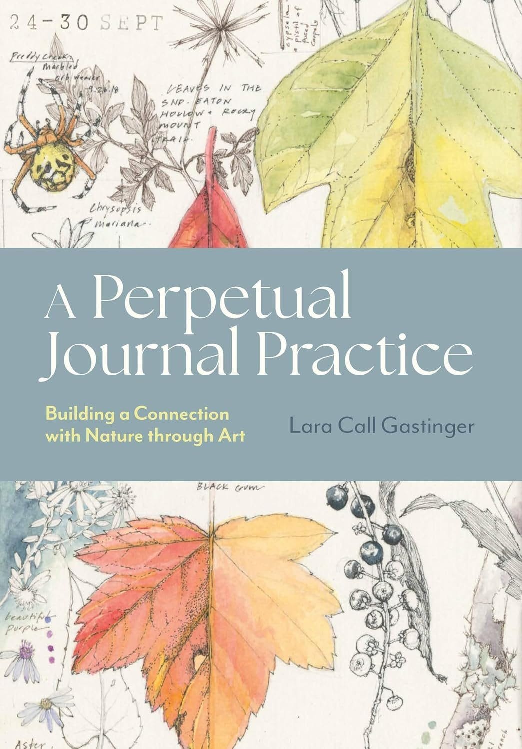 book cover of 'A Perpetual Journal Practice'