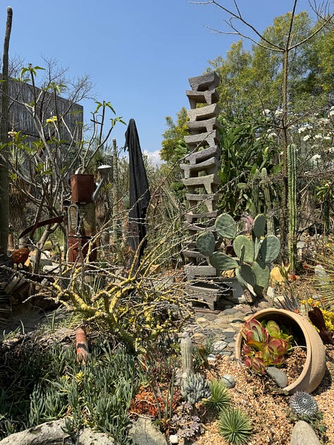 Nine photos displaying an array of cacti.