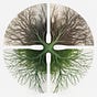 Generative Forms's avatar