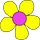 The Yellow Daisy