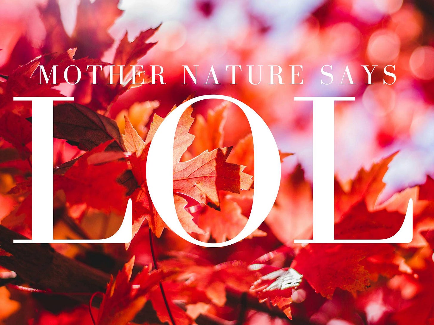 A closeup of orange and red fall leaves with text that reads "Mother Nature Says LOL" A closeup of orange and red fall leaves with text that reads "Mother Nature Says LOL"