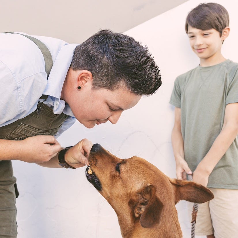 Dogs and Their Humans