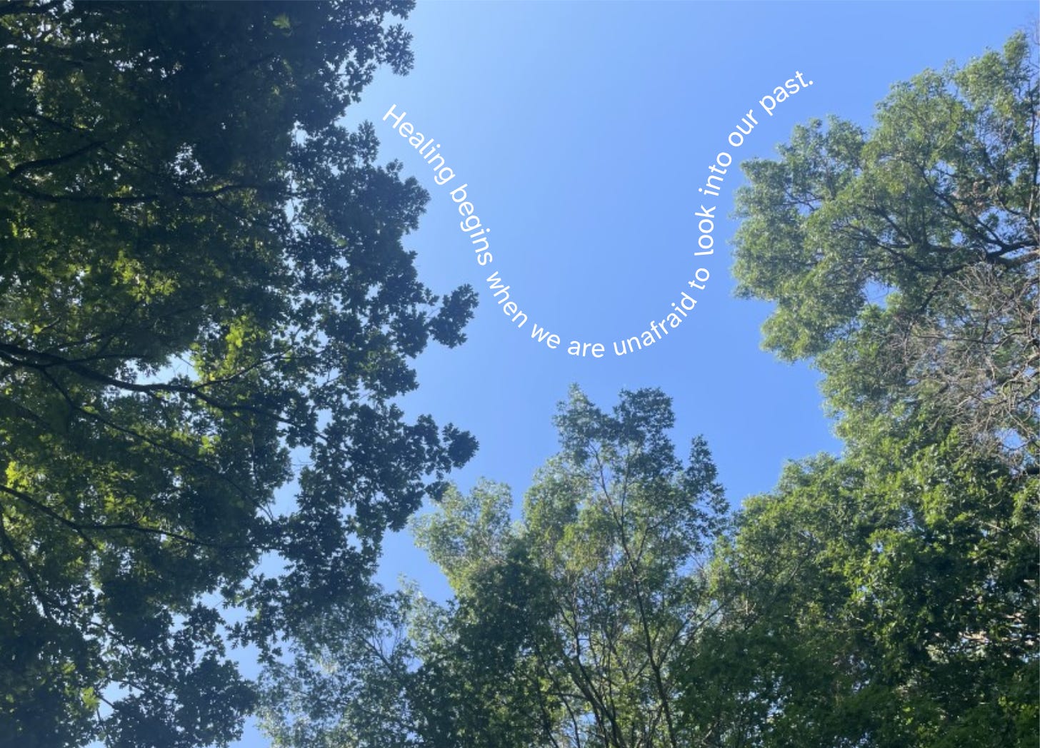 Shot of trees from below with blue sky peaking through and the quote: "Healing begins when we are unafraid to look into our past."