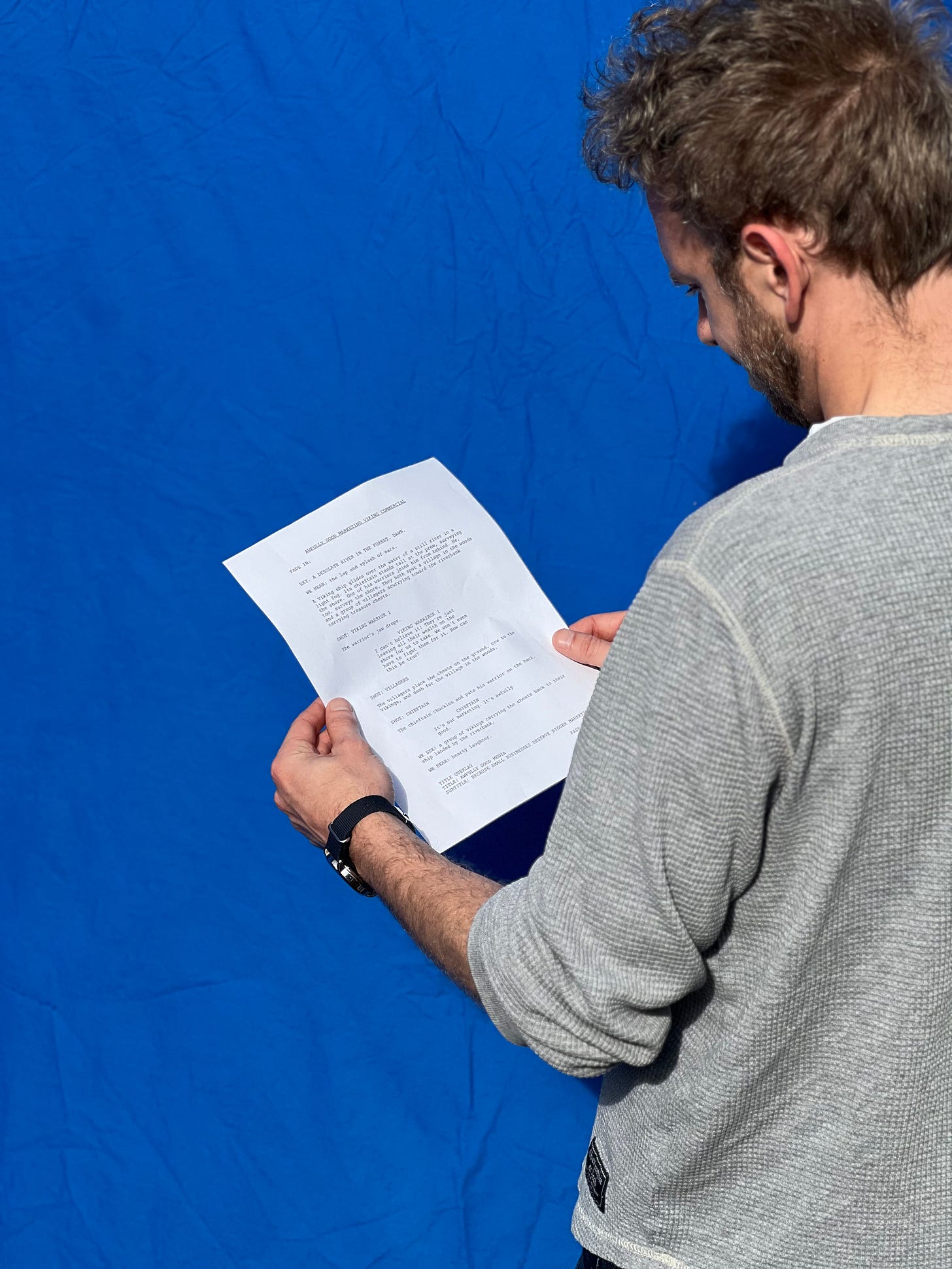 script for viking commercial