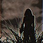 Camille's avatar