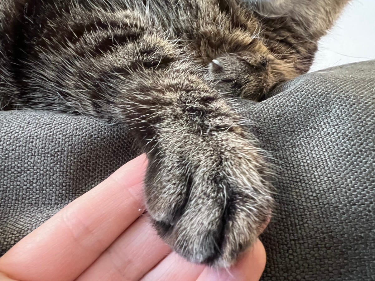 After You_Grief Diary