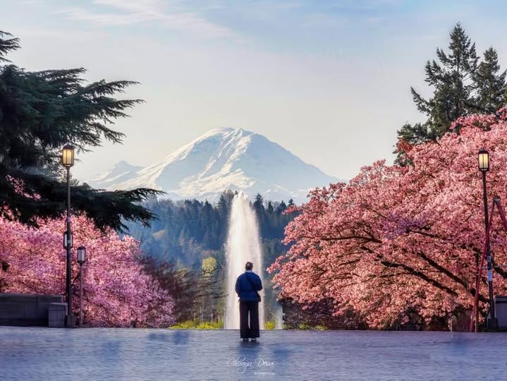 May be an image of 1 person and nature