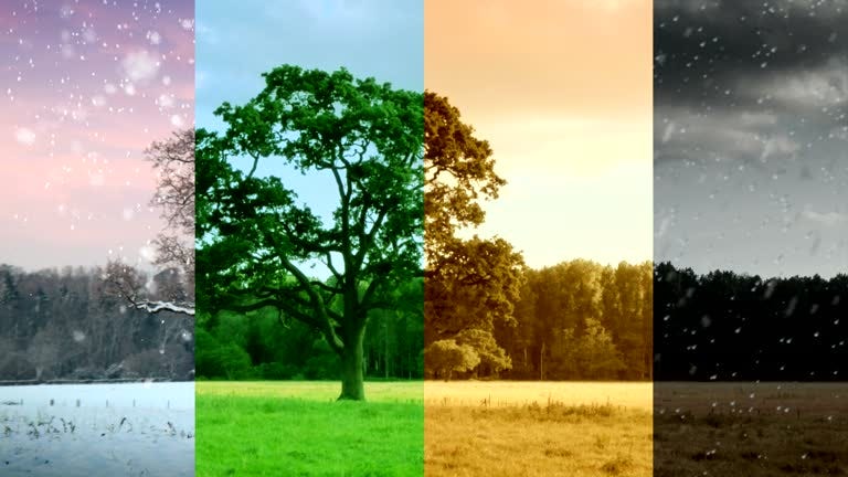 25,300+ Changing Seasons Stock Videos and Royalty-Free Footage - iStock | Changing seasons city, Forest changing seasons, Changing seasons illustration 25,300+ Changing Seasons Stock Videos and Royalty-Free Footage - iStock | Changing seasons city, Forest changing seasons, Changing seasons illustration