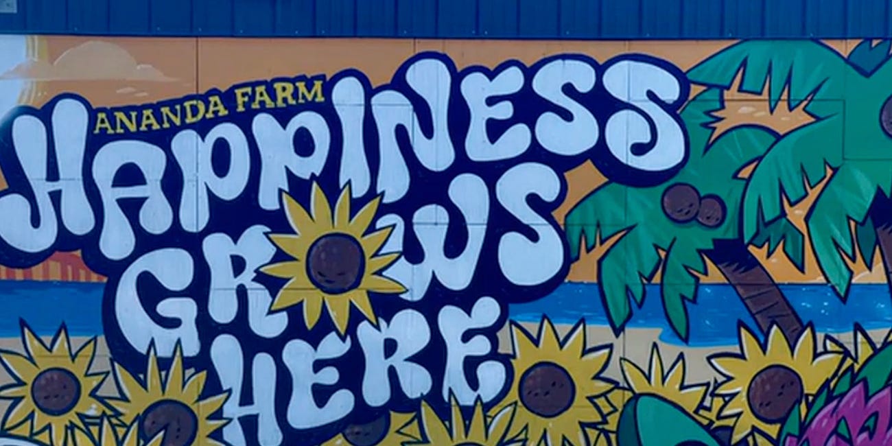 Ananda Farm Opens Fall Festival and Pumpkin Patch in Terra Ceia