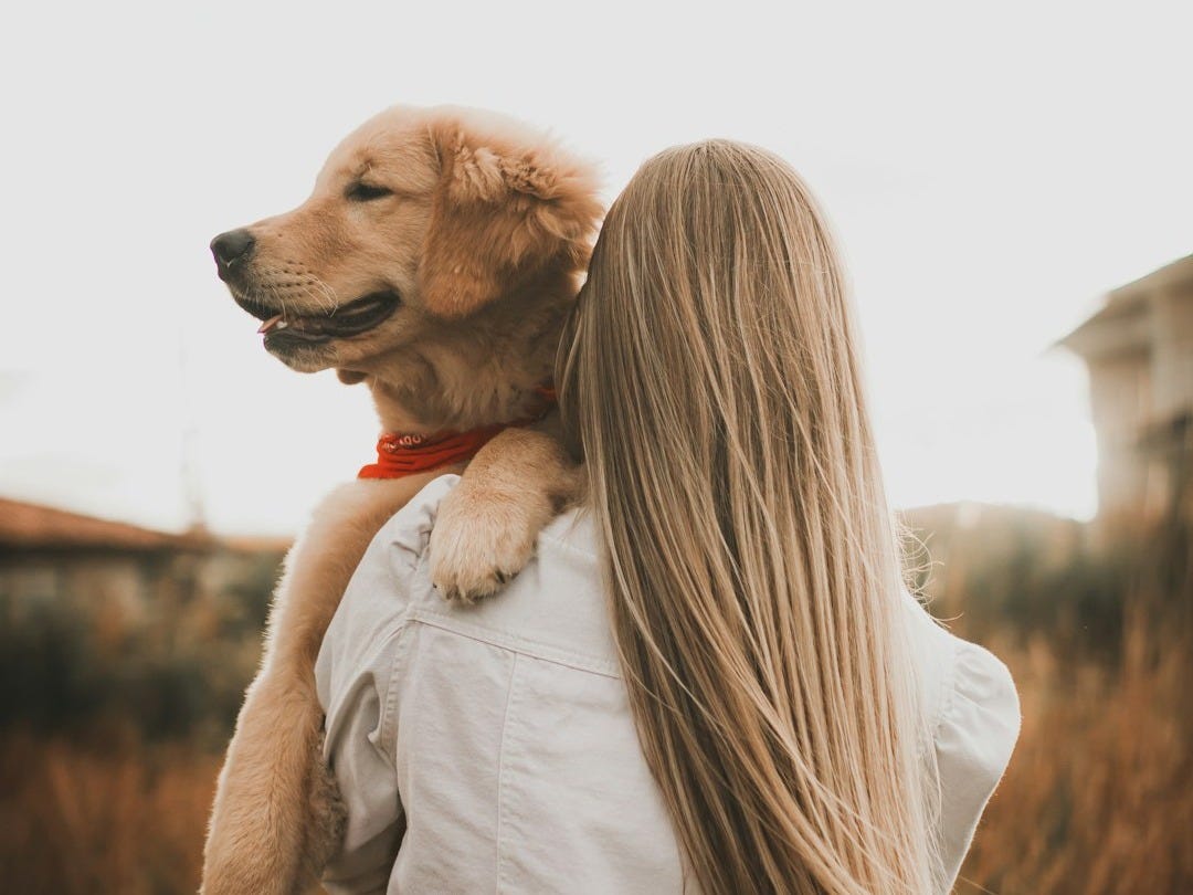 a woman holding a dog in her arms a woman holding a dog in her arms