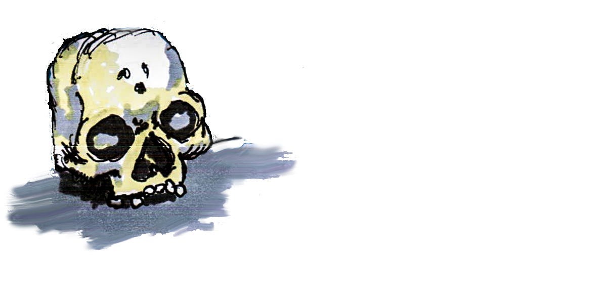 Cartoon image of a skull