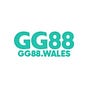 gg88's avatar