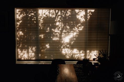 Fuji photographs of life in Montana by Tyler Knott Gregson
