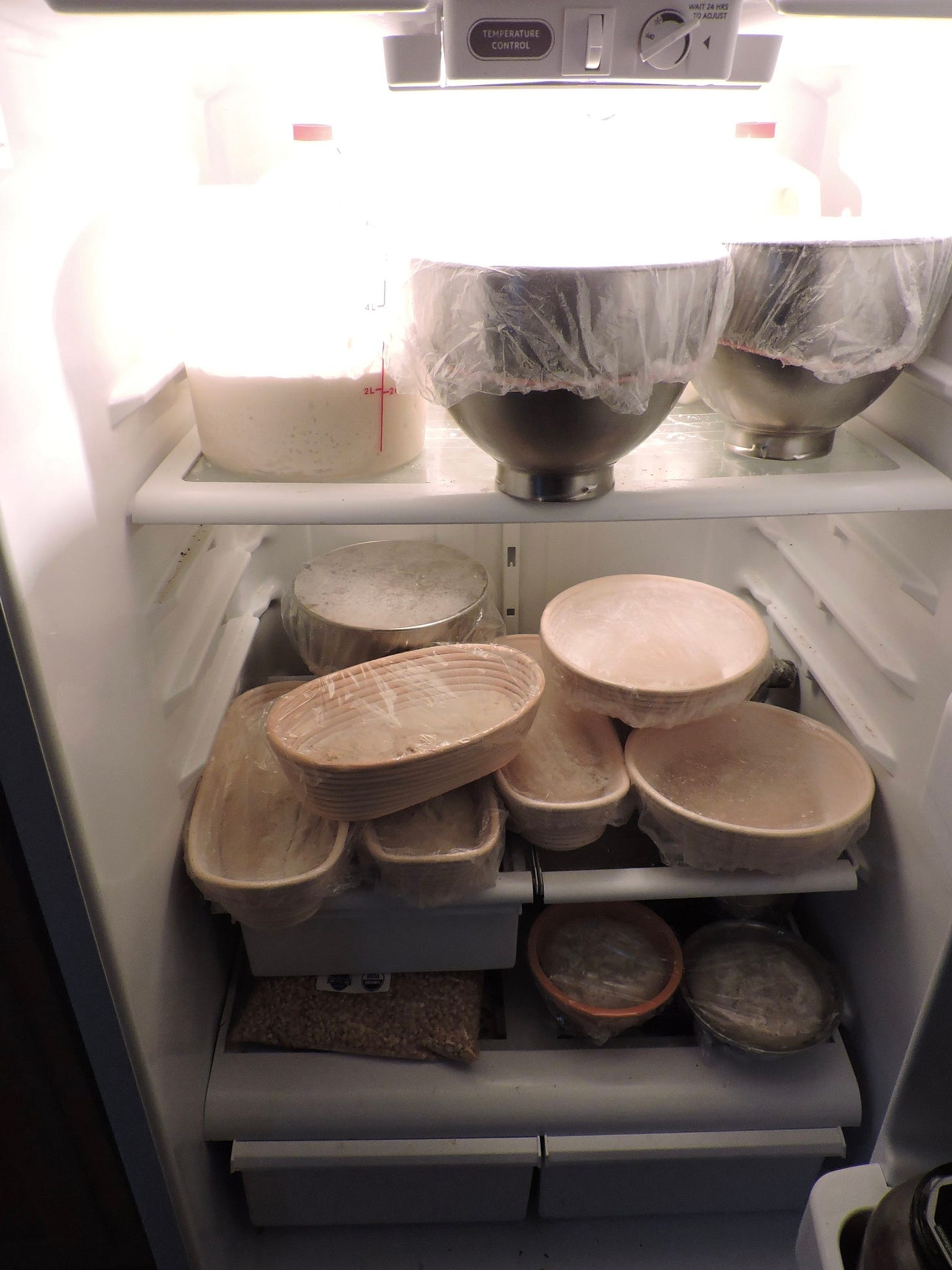  Focaccia, standard boule, fougasse, harvest, and bagel doughs along with stout, golden raisin fennel, and seeded multigrain loaves waiting in the fridge until bake day. 