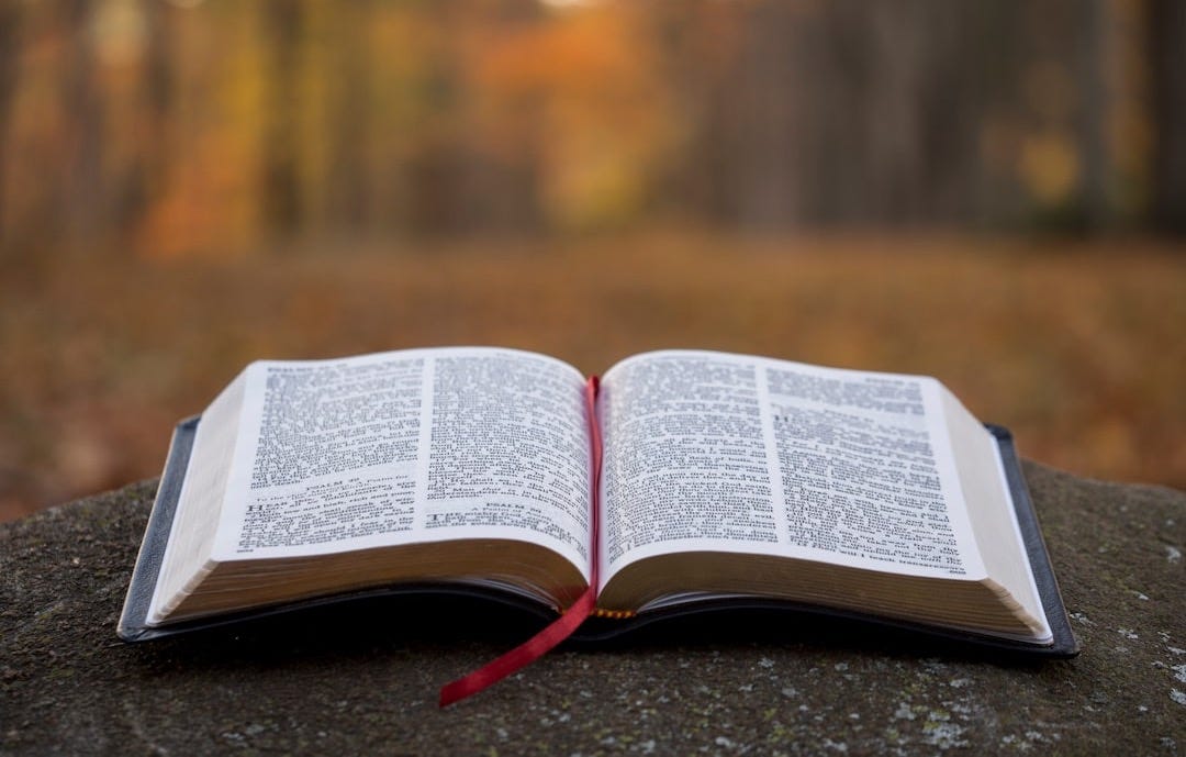 bible page on gray concrete surface