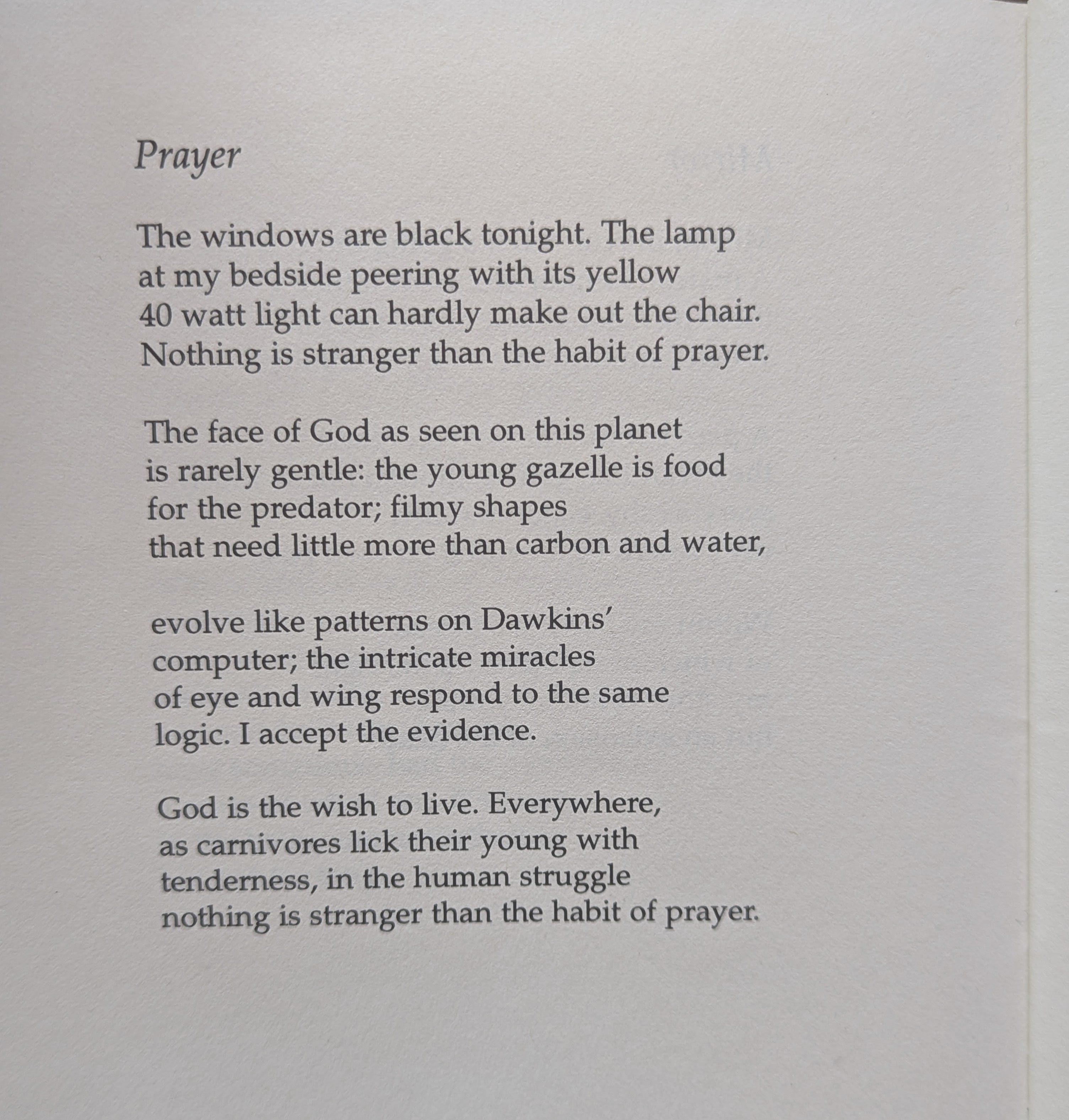 On Rereading & Renewal - by Aviya Kushner