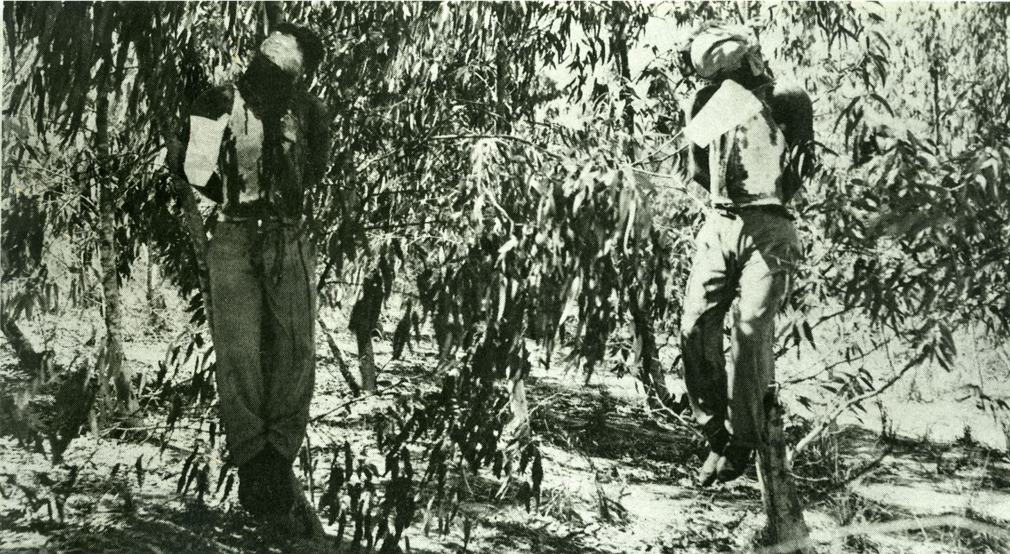 Clifford Martin and Mervyn Paice, the two British sergeants kidnapped and hanged by the Irgun in 1947. Clifford Martin and Mervyn Paice, the two British sergeants kidnapped and hanged by the Irgun in 1947.