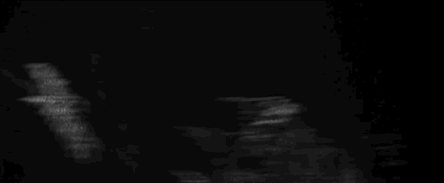 JB & The Chop Do: The Blair Witch Project (1999) – The Sporadic Chronicles