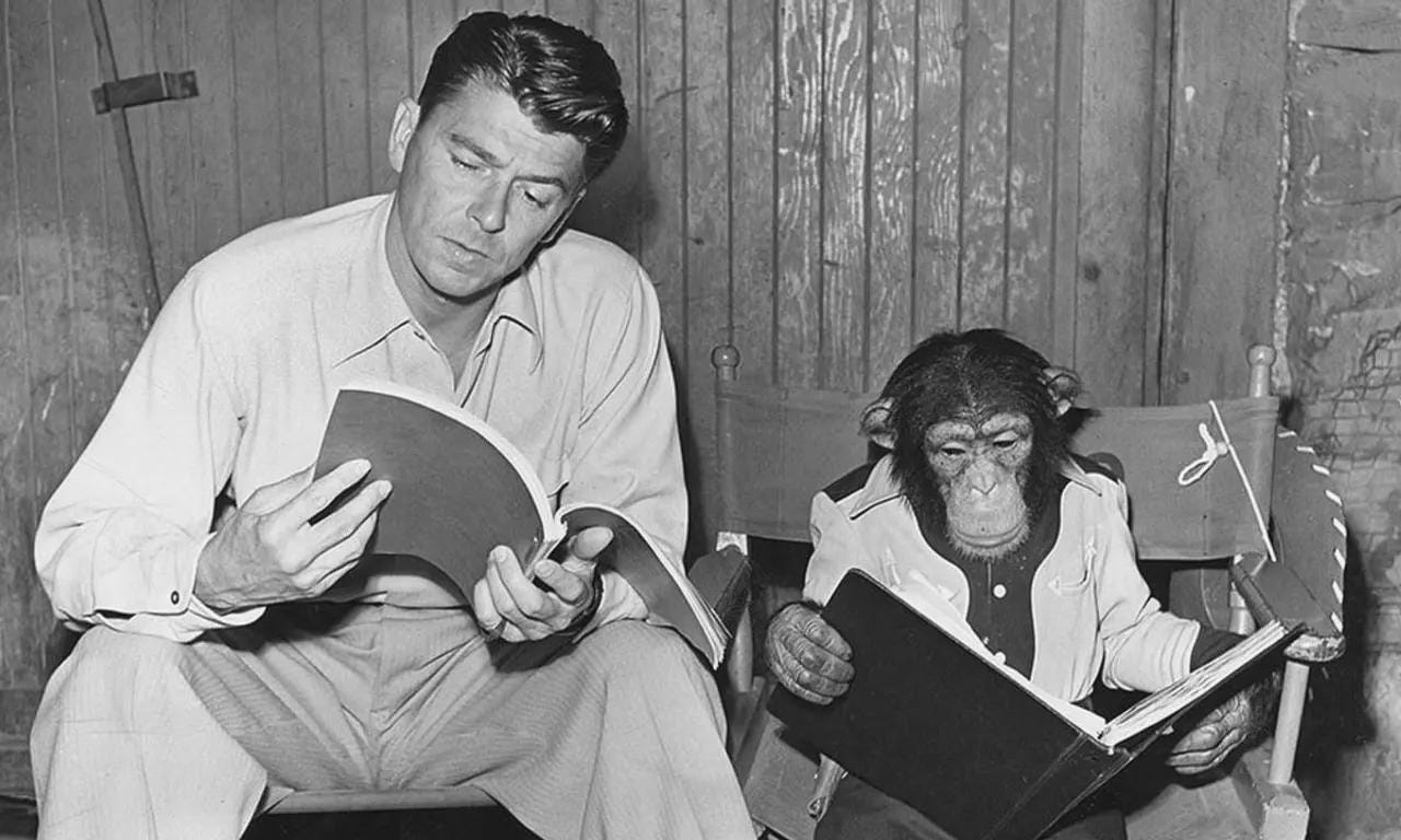 While he was filming "Bedtime for Bonzo" in 1951, Ronald Reagan was tasked with wrangling his chimpanzee co-star Peggy for a scene. When he did so, Peggy grabbed his necktie and started While he was filming "Bedtime for Bonzo" in 1951, Ronald Reagan was tasked with wrangling his chimpanzee co-star Peggy for a scene. When he did so, Peggy grabbed his necktie and started