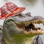 postjack's avatar
