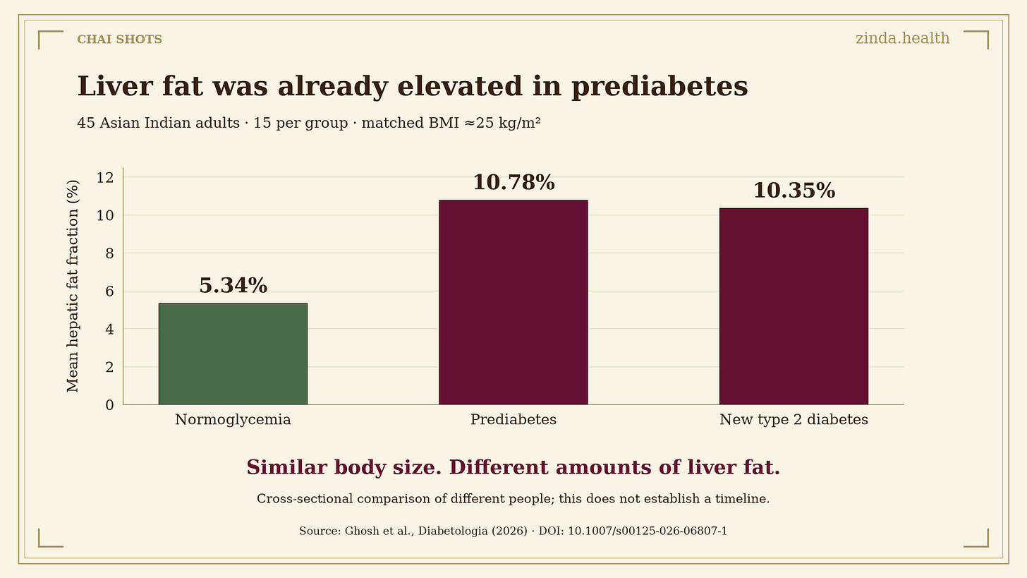 Liver fat in 45 BMI-matched Asian Indian adults: normoglycemia 5.34%, prediabetes 10.78%, newly diagnosed type 2 diabetes 10.35%. Cross-sectional group means.