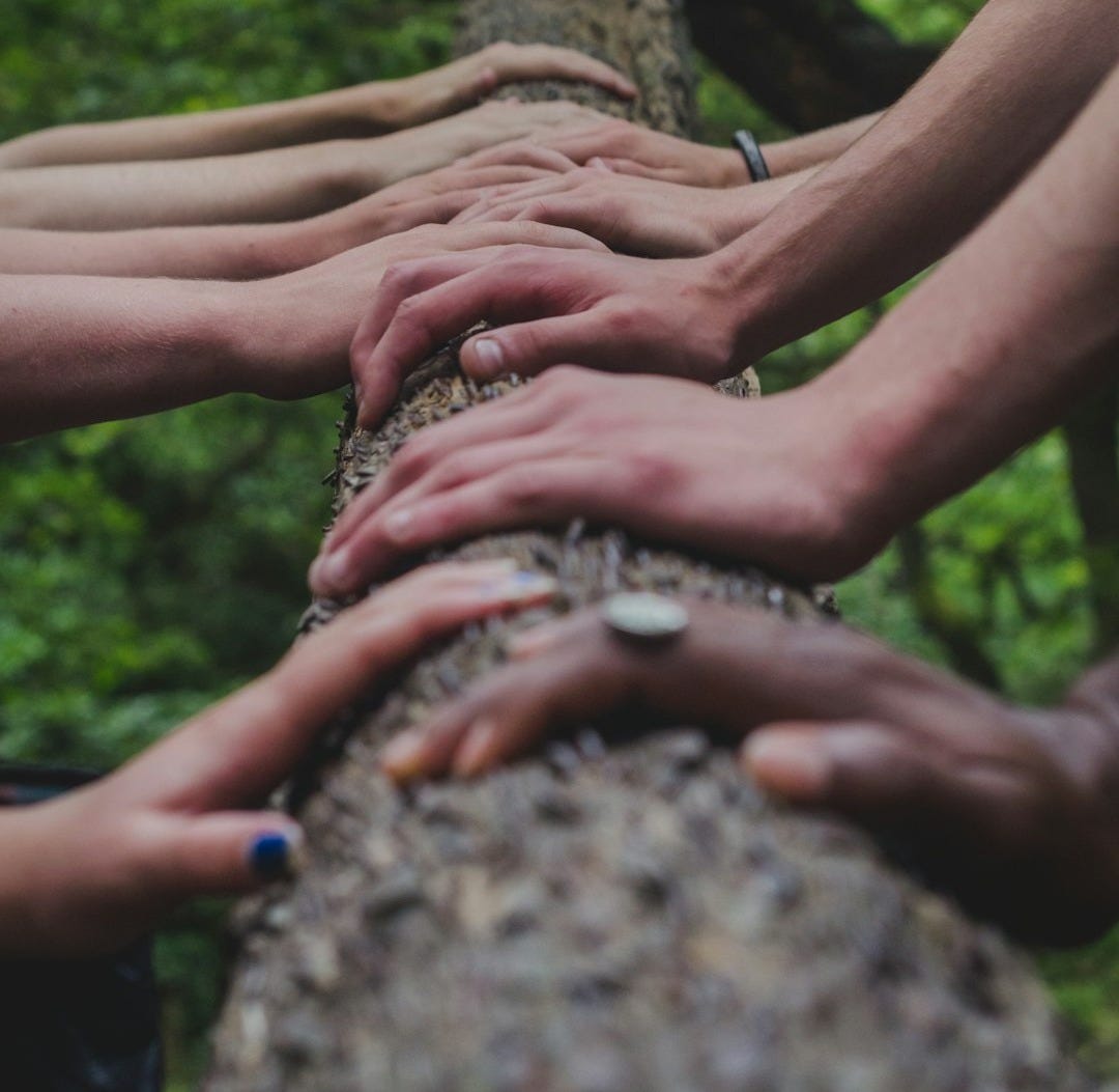 a group of people holding hands on top of a tree a group of people holding hands on top of a tree