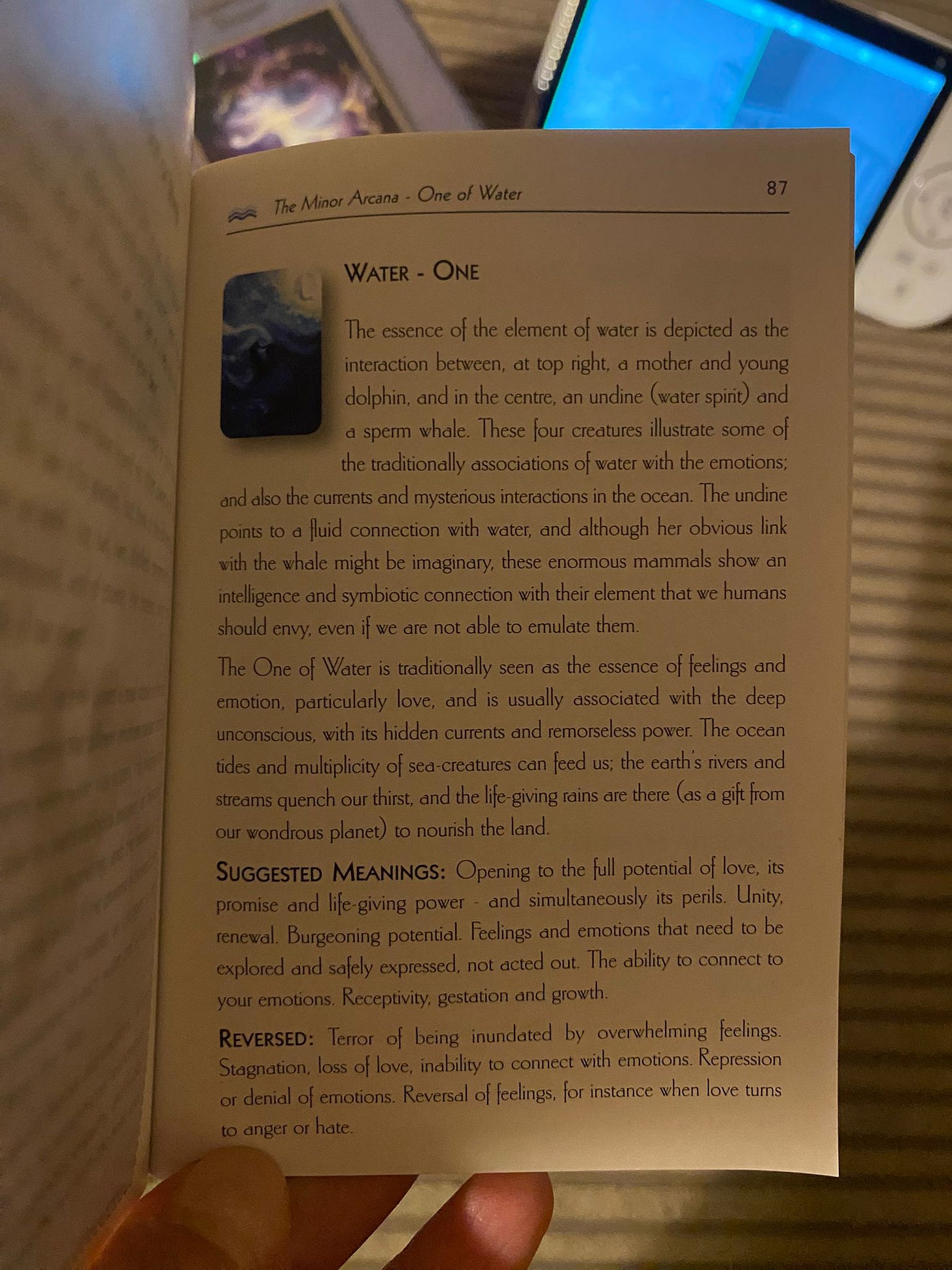 Guidebook page for Water One from The Shimmering Veil Tarot, explaining emotional symbolism, love, renewal, and the element of water, photographed during Tarot DMs with Emma van Straaten.