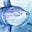 mola's avatar