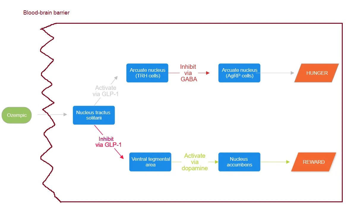 glp 1 suppliers GLP-1 Antagonists Increase Plan Drug Spend - What's Next